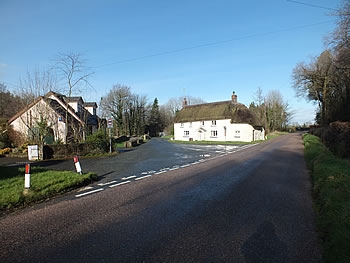 Photo Gallery Image - Brightley with Abbeyford Woods in the background