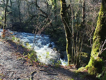 Photo Gallery Image - Views of Meldon Woods