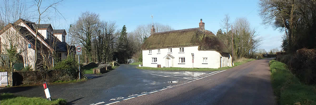 Views of Brightley with Abbeyford Woods in the background