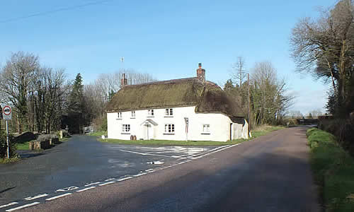 Views of Brightley with Abbeyford Woods in the background.